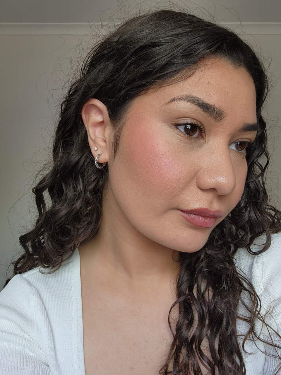 Hoop Link Earrings
